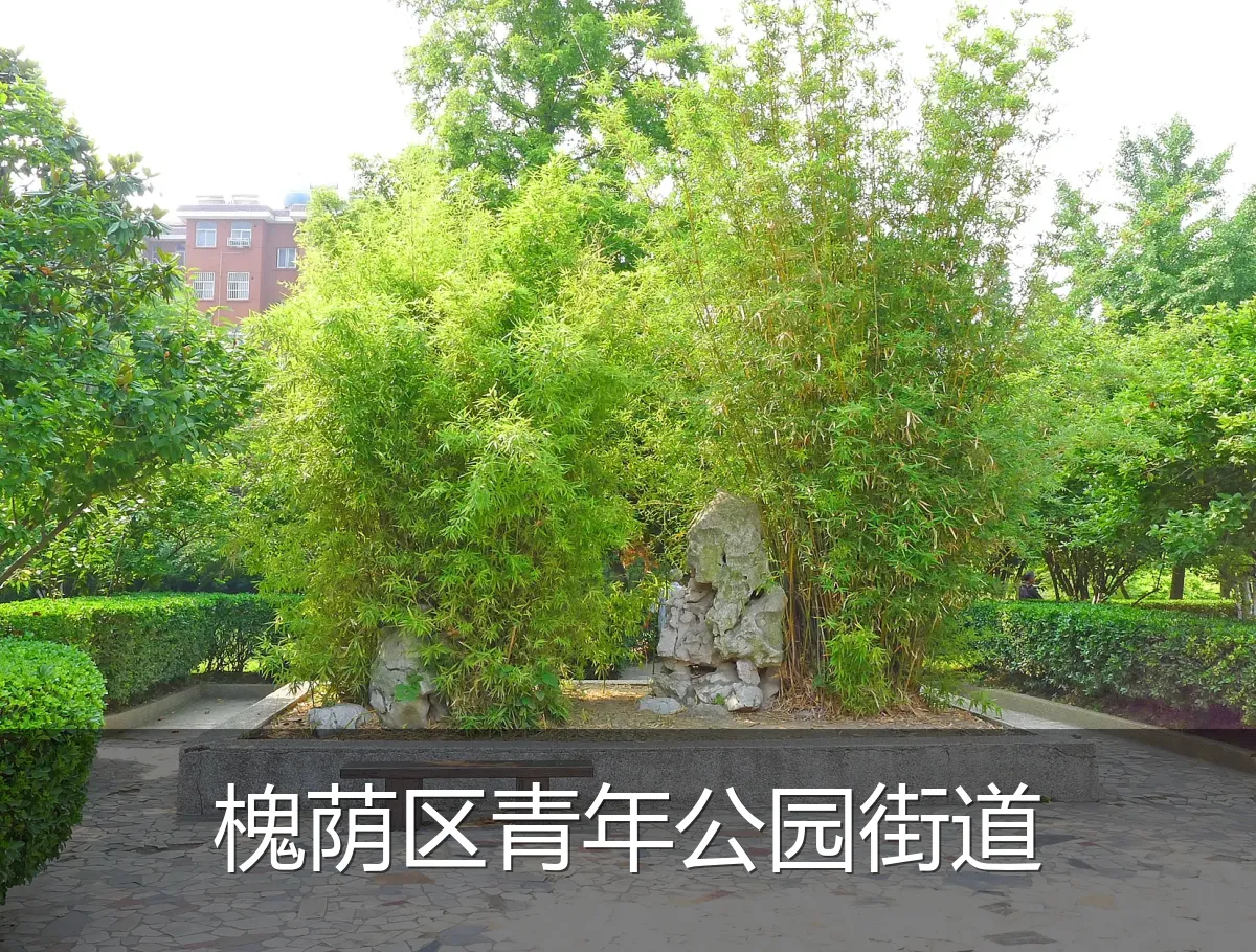 槐荫区青年公园街道