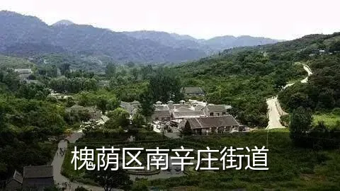 槐荫区南辛庄街道
